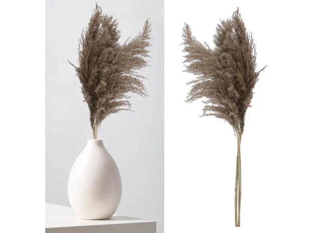 Natürliches Pampasgras Set - 3 Stiele, Dekorativ, 90-100cm Länge TK Gruppe® Grosshandel 