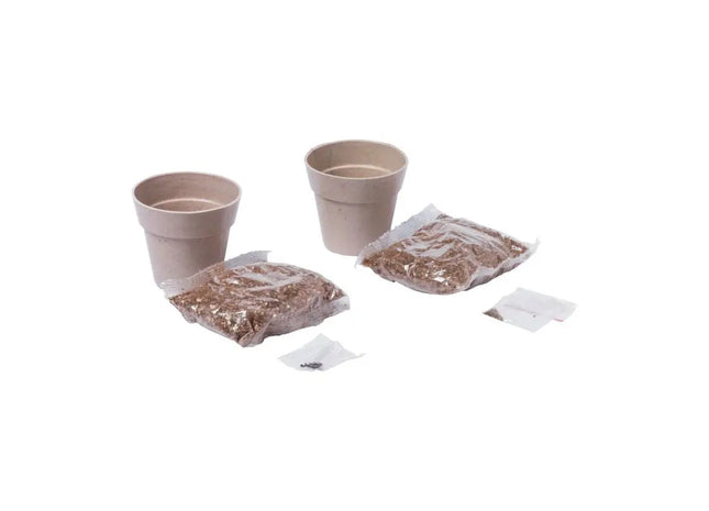 Nertel Natur Pflanz-Kit - Komplettset für Einsteiger TK Gruppe® Grosshandel 