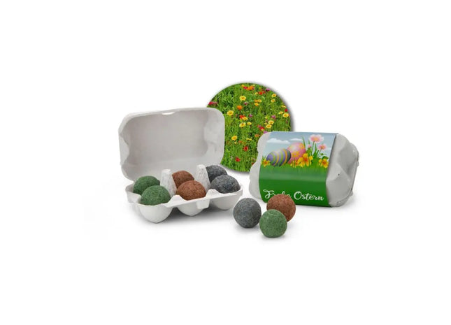 Ostergarten: Bienenweide-Blumenmix im originellen Eierkarton TK Gruppe® Grosshandel 