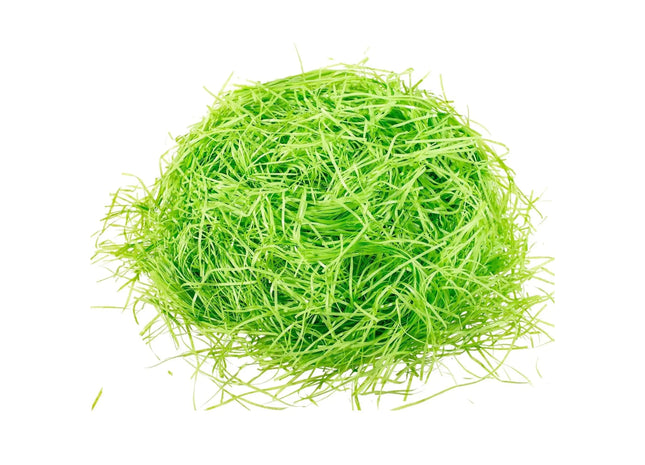 Ostergras Gras grün zur Deko an Ostern - Dekoration Schmücken klassisch z.b mit Ostereier, Osternest