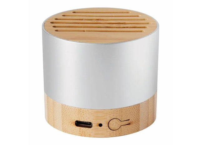 PURE SOUND Kabelloser Lautsprecher Silber - Klarer Klang, Elegantes Design TK Gruppe® Grosshandel 