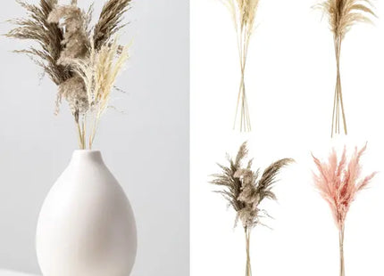 Pampas Stiele, Design 2, 4er-Pack, Bündel von 6, ca. 65-75cmL TK Gruppe® Grosshandel 