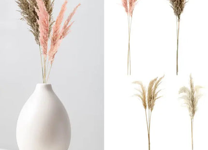 Pampas Stiele, Muster 2, 4er-Pack, Bündel von 3, ca. 90-100cmL TK Gruppe® Grosshandel 