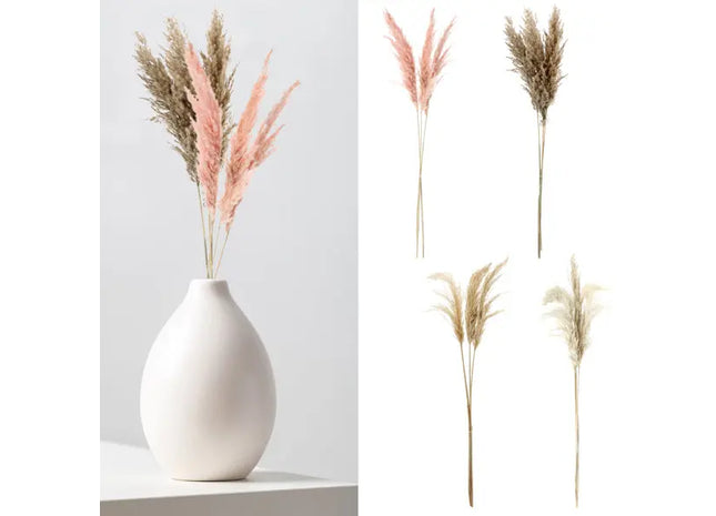 Pampas Stiele, Muster 2, 4er-Pack, Bündel von 3, ca. 90-100cmL TK Gruppe® Grosshandel 