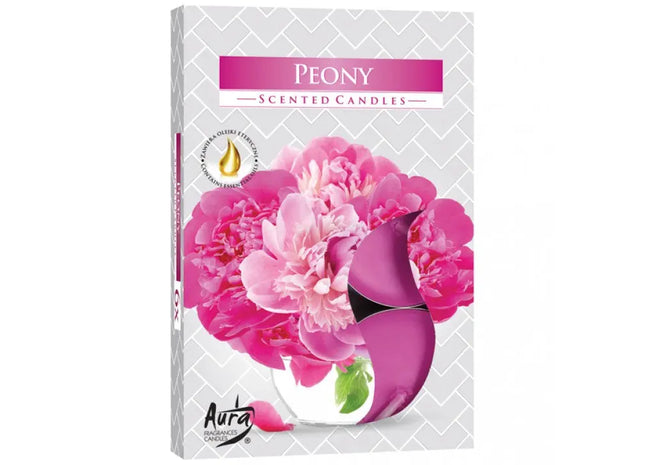 Peony Scented Tea Lights: 6 Fragrant Candles in Foldable Packaging - Floral Aromatherapy Set TK Gruppe® Grosshandel 