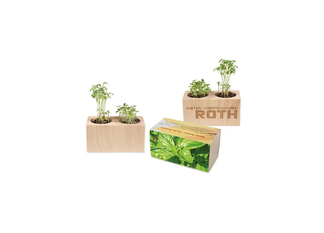 Pflanz-Holz 2er Set mit Banderole & Lasergravur - Basilikum Anzuchtkit TK Gruppe® Grosshandel 