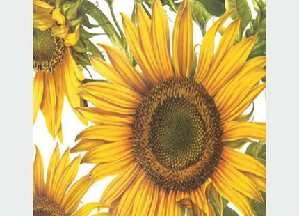 Premium Servietten mit Sonnenblumenmotiv, 20 Stück, 33x33cm, Perfekt für Tischdekorationen TK Gruppe® Grosshandel 