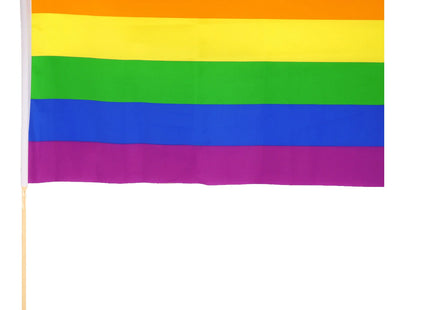 Pride Nylon-Handflagge mit Holzstab 45 x 30 cm – nachhaltige LGBTQ+-Regenbogenflagge für Paraden TK Gruppe® Grosshandel 