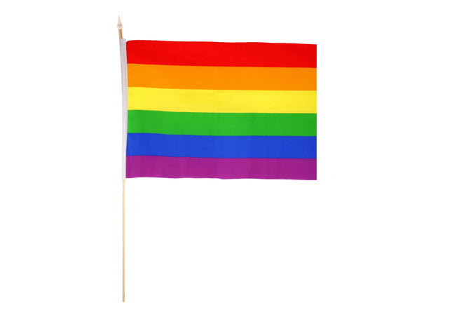 Pride Nylon-Handflagge mit Holzstab 45 x 30 cm – nachhaltige LGBTQ+-Regenbogenflagge für Paraden TK Gruppe® Grosshandel 