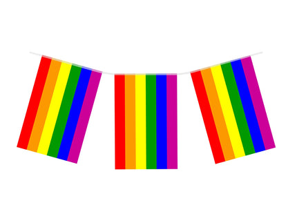 Pride PVC-Flagge Schlange 10 m – 20 langlebige Flaggen 20 cm x 31 cm für Festivals und LGBTQ+-Events TK Gruppe® Grosshandel 