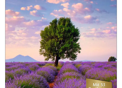 Provence Träume 2024: Kalender der Verlockenden Landschaften TK Gruppe® Grosshandel 