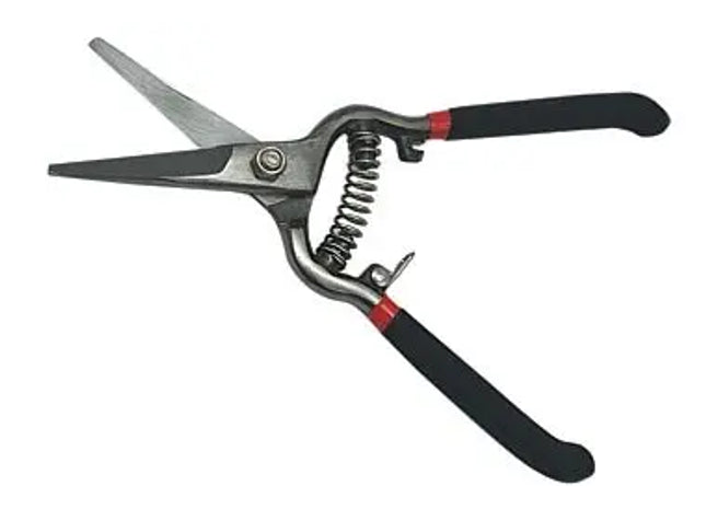 REBENSCHERE ROSE: Premium Rosenschere - Präzise Rebenschere für die optimale Rosenpflege TK Gruppe® Grosshandel 