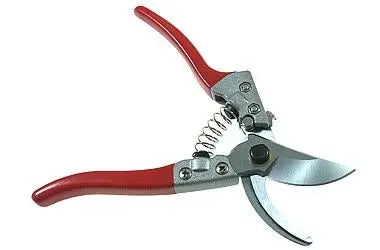 REBENSCHERE : Hochwertige Rebenschere - Präzise Weinbergschere für optimale Rebenpflege TK Gruppe® Grosshandel 