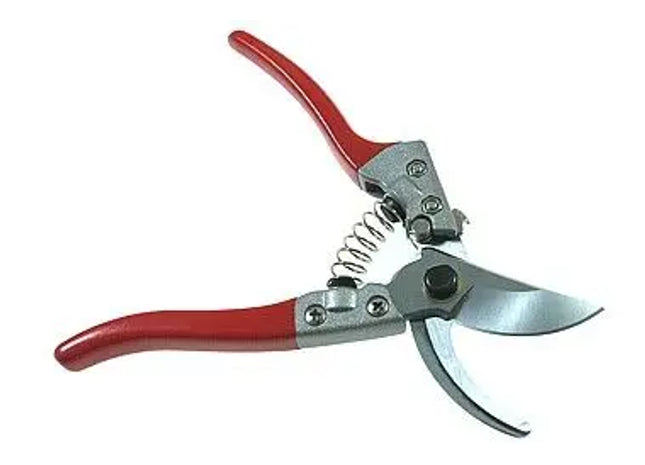 REBENSCHERE : Hochwertige Rebenschere - Präzise Weinbergschere für optimale Rebenpflege TK Gruppe® Grosshandel 