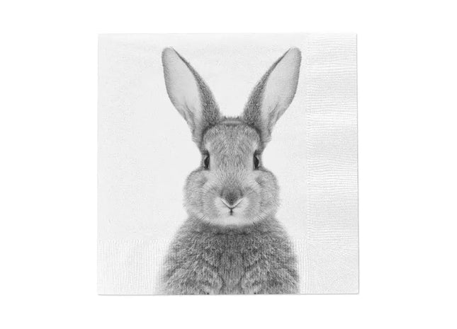 Rabbit-Themed Napkins, Set of 20 - Adorable Bunny Design for Easter and Spring Celebrations TK Gruppe® Grosshandel 