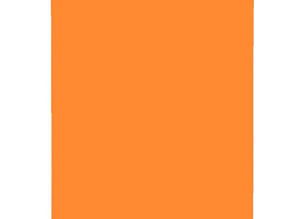 Rechteckiger Eiskratzer Standard-Orange - Effektives Reinigungszubehör TK Gruppe® Grosshandel 