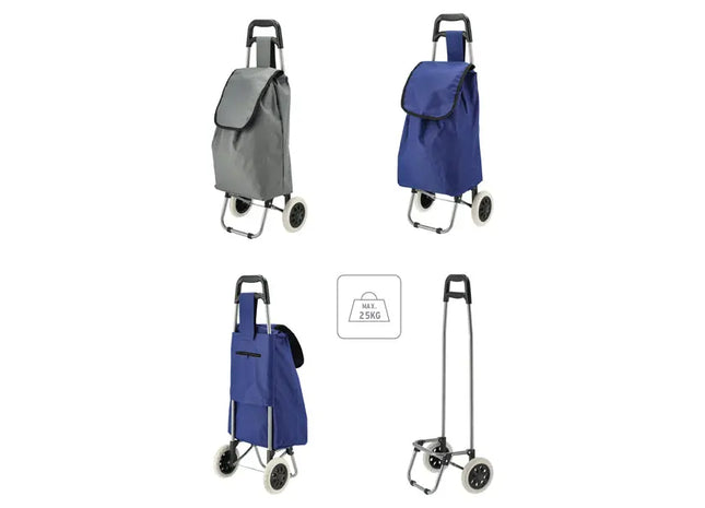 Robuster Einkaufstrolley im Doppelpack, Tragkraft bis 45 kg, Stabiler Einkaufswagen TK Gruppe® Grosshandel 