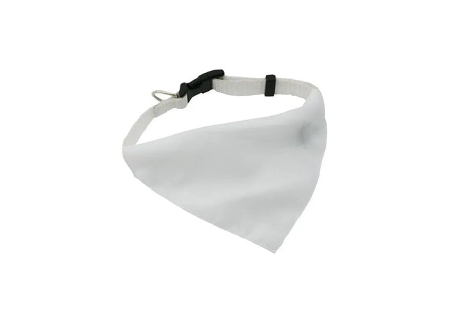 Roco Hundehalsband - Weiß, Elegantes Haustierhalsband, Verstellbares und Robustes Hundezubehör TK Gruppe® Grosshandel 