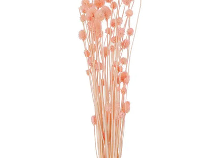 Rosa Amaranth-Blütenkugel: Ca. 50g, 70cmL - Getrocknete Blumen, Dekoration, Floristik TK Gruppe® Grosshandel 