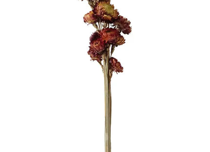 Rotorange Chrysantheme Bouquet: 12er Bund, ca. 55cmL - Blumendekoration, Frische Blumen TK Gruppe® Grosshandel 