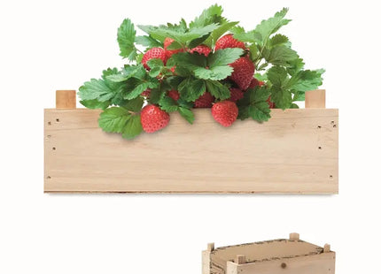 STRAWBERRY Saat-Set für Erdbeeren - Holzdesign TK Gruppe® Grosshandel 