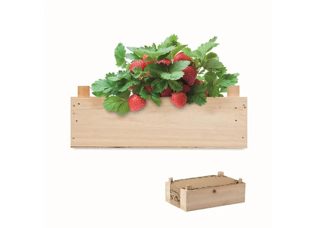 STRAWBERRY Saat-Set für Erdbeeren - Holzdesign TK Gruppe® Grosshandel 