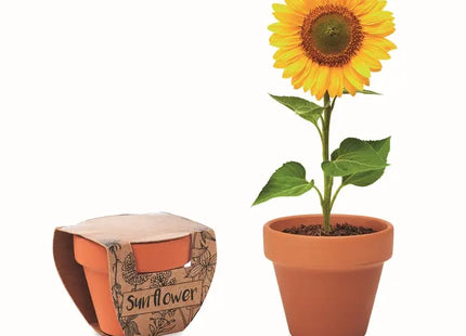 SUNFLOWER Terracotta-Topf mit Holzgestell - Ideal für Sonnenblumen TK Gruppe® Grosshandel 