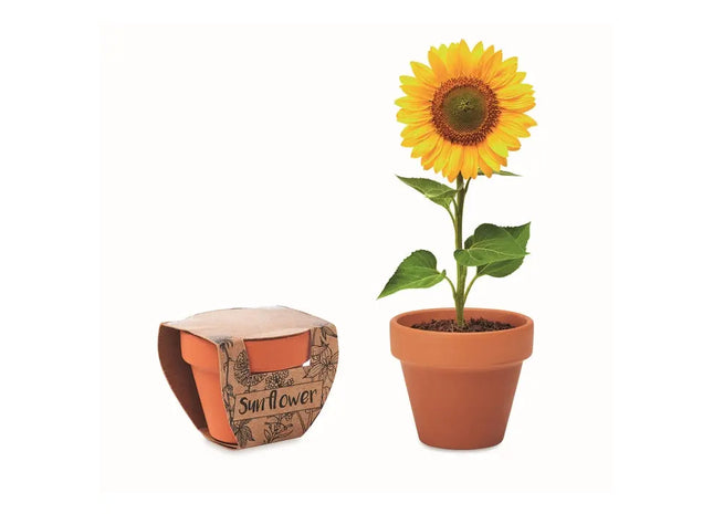 SUNFLOWER Terracotta-Topf mit Holzgestell - Ideal für Sonnenblumen TK Gruppe® Grosshandel 