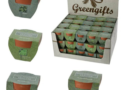 Schild Holz Maritim, 42x21cm – Stilvolles Holzschild | Moderner Maritimer Deko-Schild TK Gruppe® Grosshandel 