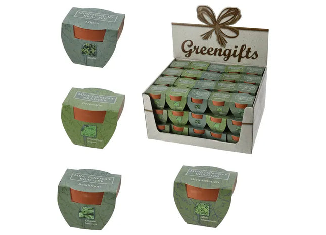 Schild Holz Maritim, 42x21cm – Stilvolles Holzschild | Moderner Maritimer Deko-Schild TK Gruppe® Grosshandel 