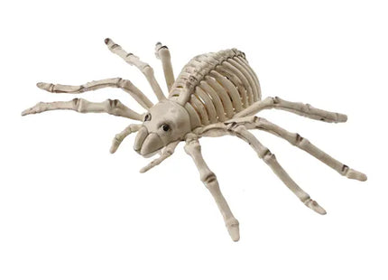 Skelett-Spinne, Halloween-Dekoration, ca. 25cm Breit TK Gruppe® Grosshandel 
