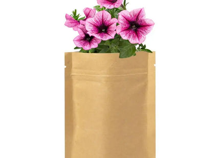 Sober Pflanz-Kit in Beige - Anzuchtset für Zuhause, ideal für Küchenkräuter TK Gruppe® Grosshandel 