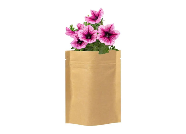 Sober Pflanz-Kit in Beige - Anzuchtset für Zuhause, ideal für Küchenkräuter TK Gruppe® Grosshandel 