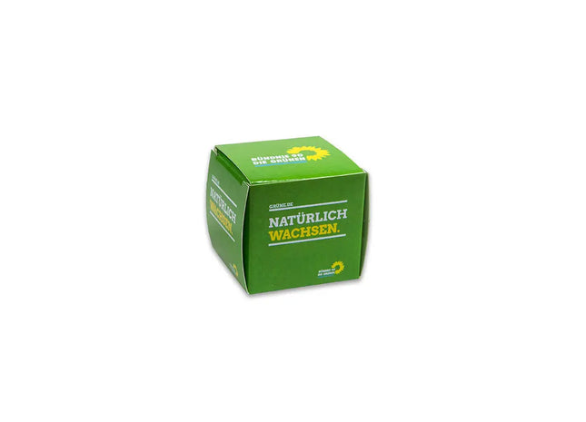 Sommerblumen-Mix in Mini-Blumenball-Box – Farbenpracht für Ihren Garten TK Gruppe® Grosshandel 