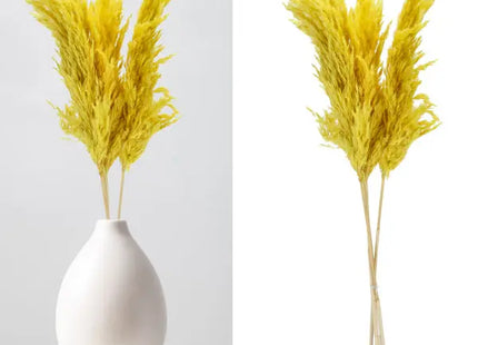 Sonnen-Gelbes Pampasgras Set - 3 Stiele, 90-100cm Länge TK Gruppe® Grosshandel 