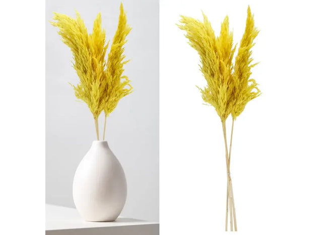 Sonnen-Gelbes Pampasgras Set - 3 Stiele, 90-100cm Länge TK Gruppe® Grosshandel 