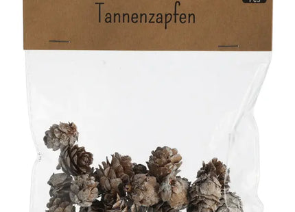 Tannenzapfen, 21er Set, S – Natürliche Walddeko | Rustikale Festtagsakzente TK Gruppe® Grosshandel 