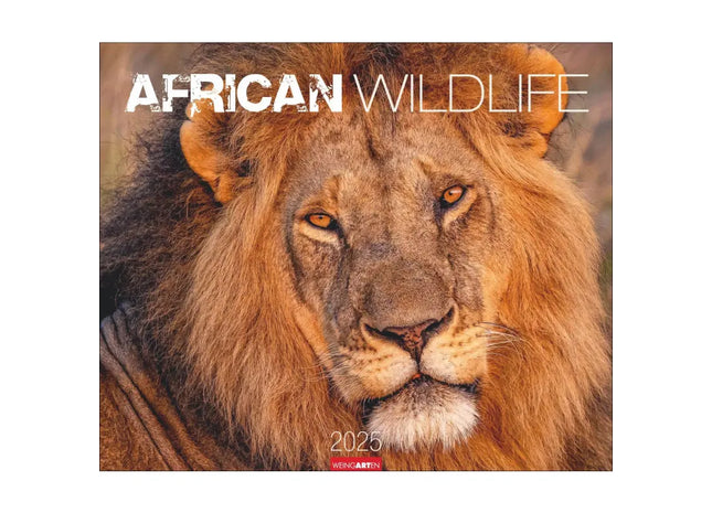 Wildtiere Afrikas Kalender - Exotische Tierwelt TK Gruppe® Grosshandel 