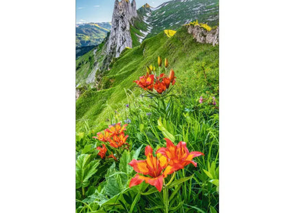 Wunderschöne Welt 2024: Vertikaler Natur- und Landschaftskalender TK Gruppe® Grosshandel 