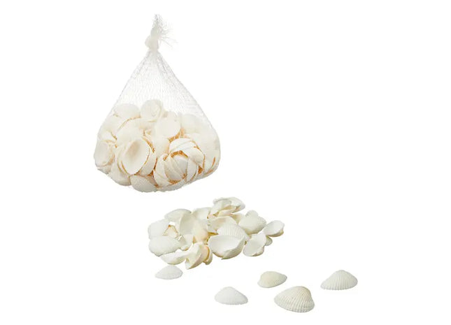 Zarte Meeresfrüchte, Ca. 200g - Köstliche Muscheln für Vielseitige Küchenkreationen TK Gruppe® Grosshandel 