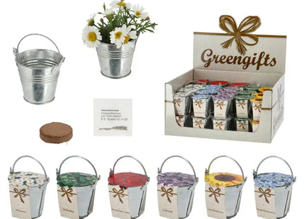 Zinkeimer Mini mit Kokosquellpad und Samen, Blumen, 6er-Set – Dekorative Pflanzensets TK Gruppe® Grosshandel 
