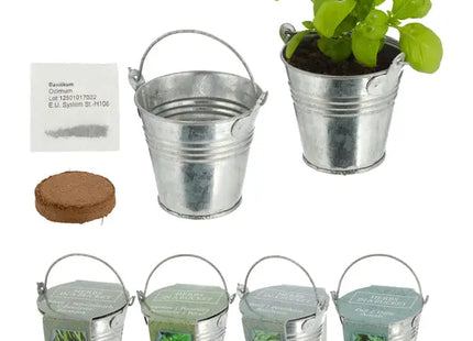 Zinkeimer Mini mit Kokosquellpad und Samen, Kräuter, 4er-Set – Kompakte Indoor-Kräutersets TK Gruppe® Grosshandel 