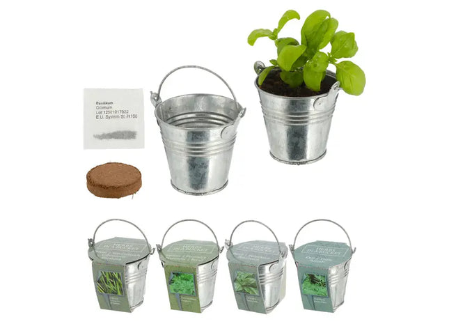 Zinkeimer Mini mit Kokosquellpad und Samen, Kräuter, 4er-Set – Kompakte Indoor-Kräutersets TK Gruppe® Grosshandel 