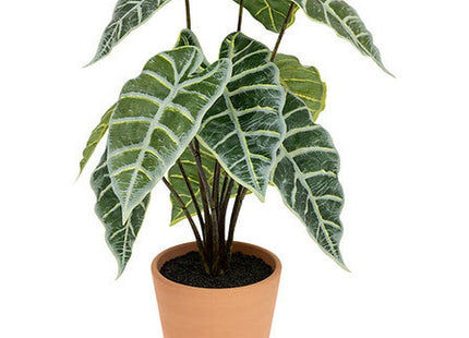 Künstliche Alocasia H43cm grün