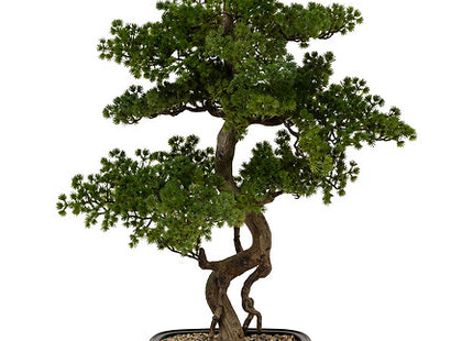 Polin Bonsai Höhe 86 cm mit Keramiktopf