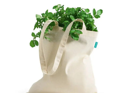 MATOLA Turnbeutel aus 100% Bio-Baumwolle (120 g/m²) - Natur, Leicht & Umweltfreundlich TK Gruppe® Grosshandel 