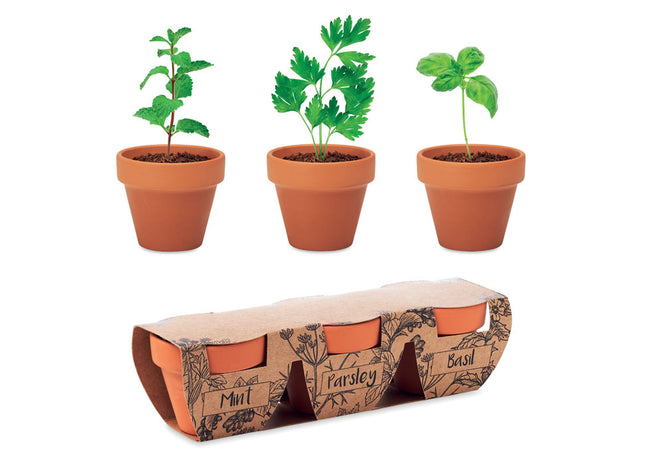 Terrakotta 3er Kräutertopf-Set