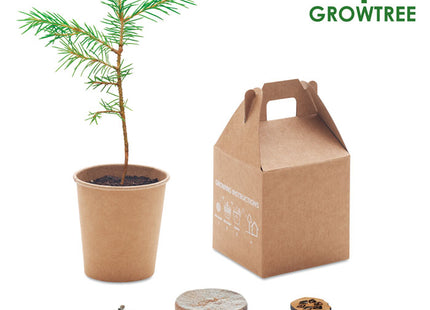 Kiefernbaum-Set
