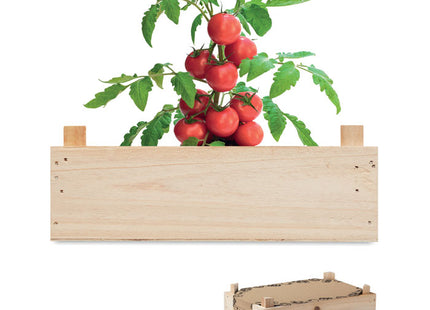 Tomaten-Set in Holzkiste