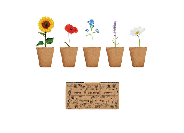 Blumenzuchtset